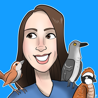 Picture: Mauri's avatar surrounded by her three favorite birds (Caroline wren, northern mockingbird, and northern bobwhite). Created by Ethan Kocak, aka Black Mudpuppy.